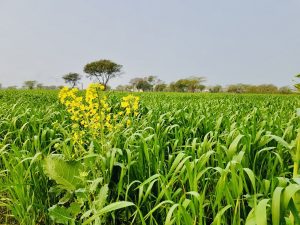 16c318f3-5fb3-4afb-b2b5-c4ef15971043