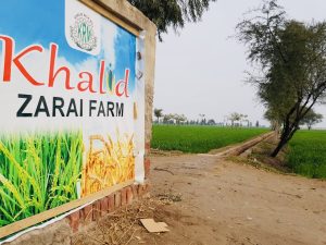 487ef761-636d-46ba-b7db-485725324500