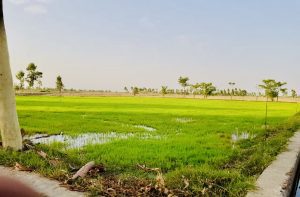 6b362a83-cdf1-44e6-a505-50b5245b53b7