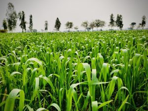 a5c4b6c9-0117-4705-b19c-fdc42a37a237