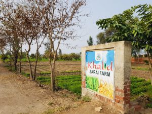 d3c7683e-c1a0-4cd6-a8b6-d65d1f60c207