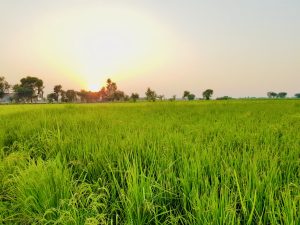 f6c6b3dd-30cd-46e0-947c-f7b11597a215