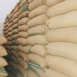 2d7bd140-3e83-410b-961e-d16dadc2f223