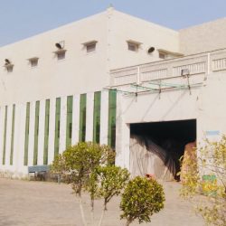 ec86cec7-2d3d-4b06-a500-9e4d198e7743